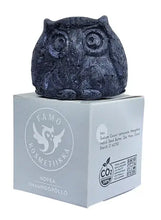 Lataa kuva Galleria-katseluun, Hopea Shampoopöllö - Keltaisuutta Taittava Vaaleille Hiuksille