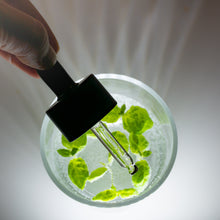 Lataa kuva Galleria-katseluun, Rainforest Öljyseerumi Kasvoille – Luonnollinen Heleytys ja Ravitsevuus