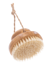 Lataa kuva Galleria-katseluun, Kuivaharja