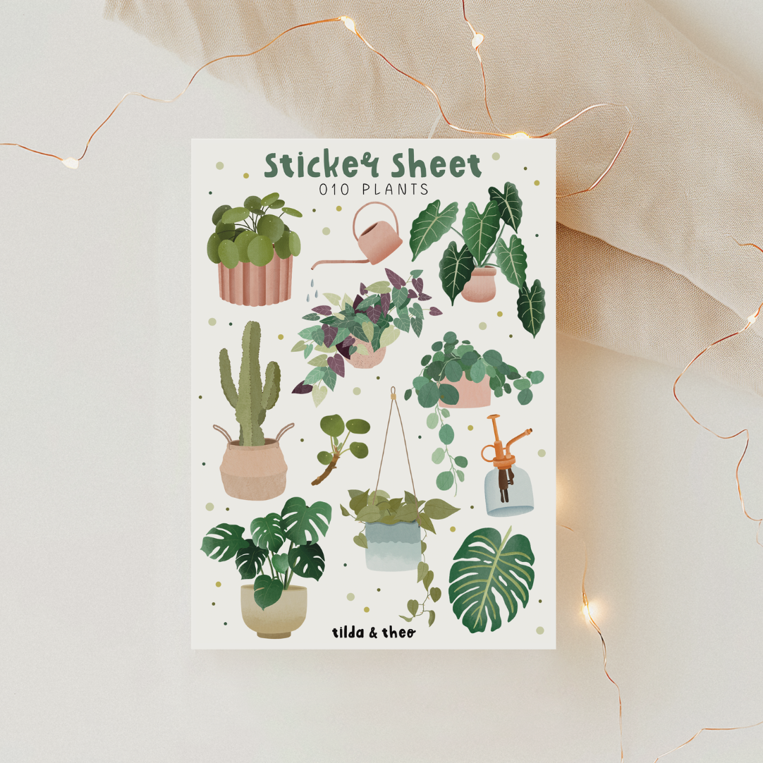 Monstera Tarra-arkki – Kasvien Ystäville