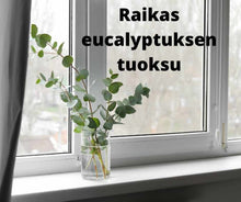 Lataa kuva Galleria-katseluun, Euca ekologinen yleispesuaine 4L
