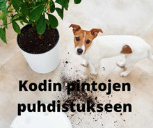 Lataa kuva Galleria-katseluun, Euca ekologinen yleispesuaine 4L
