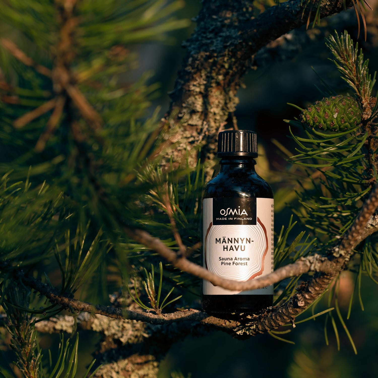 Sauna Scent Pine Needle
