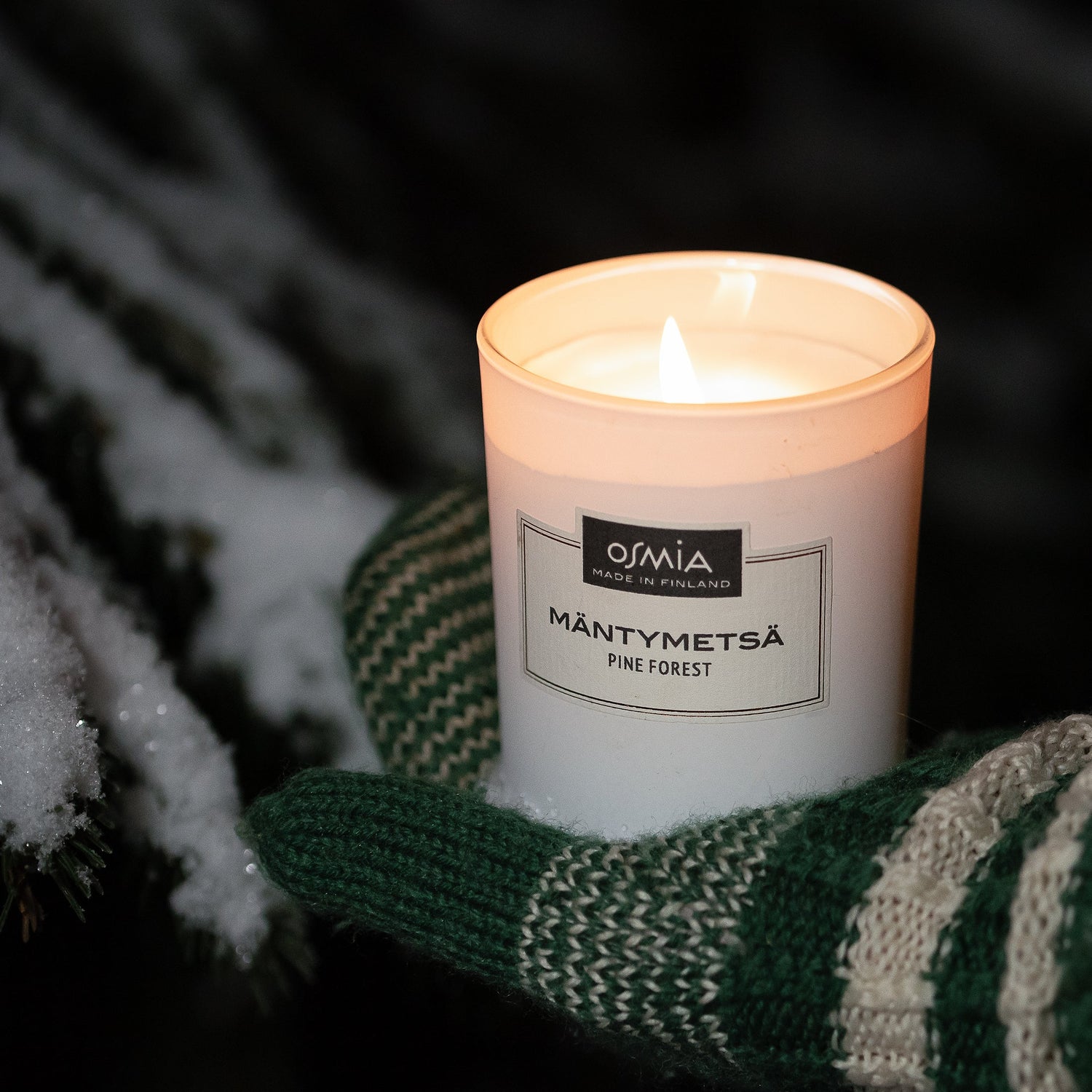 Pine Forest Scented Candle
